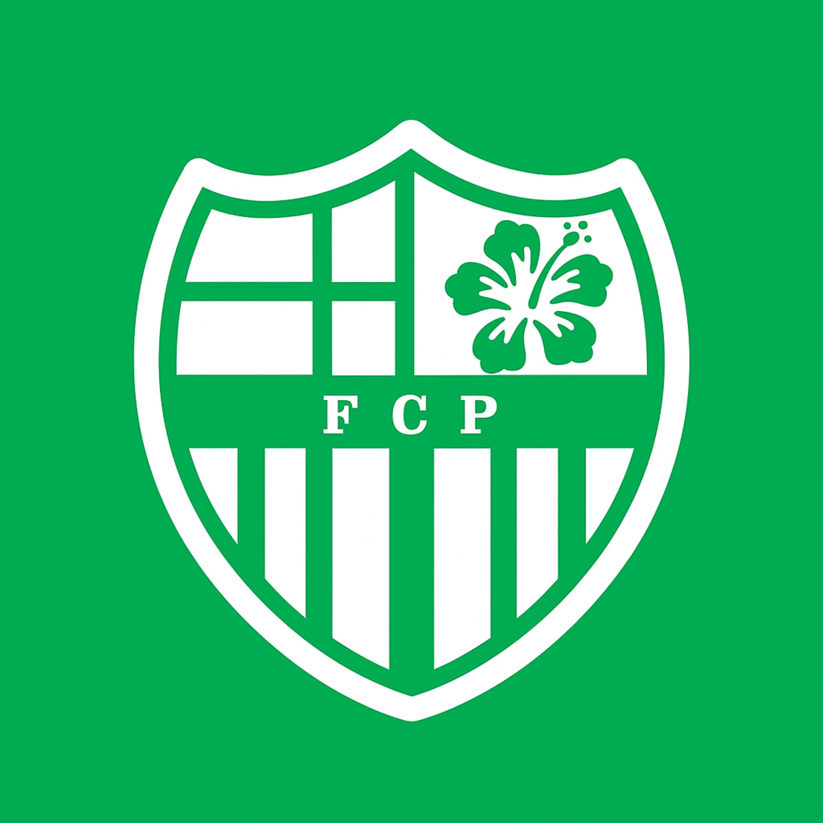 F.C.PARADISE