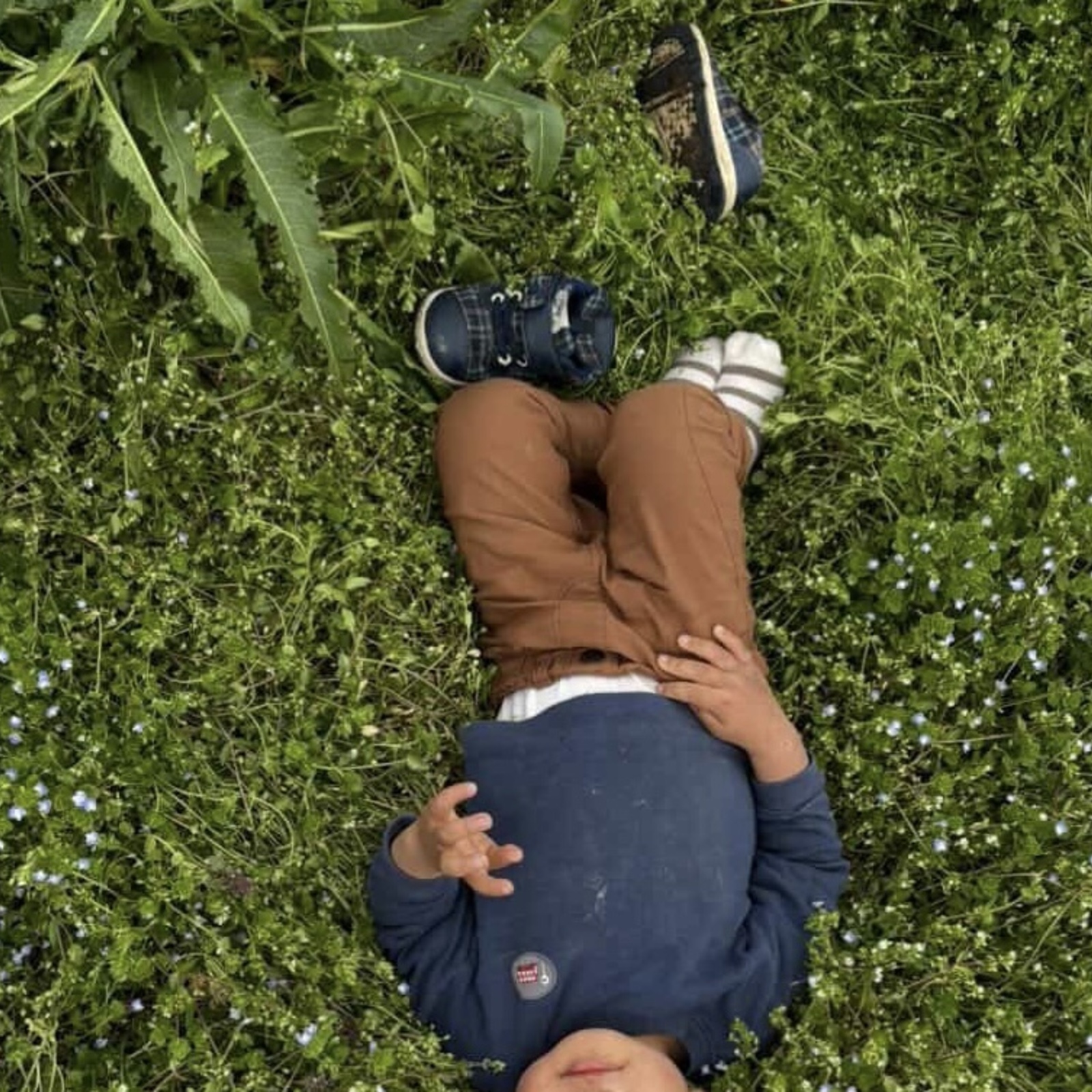 子どもたちと一緒に自然の中で遊ぶ