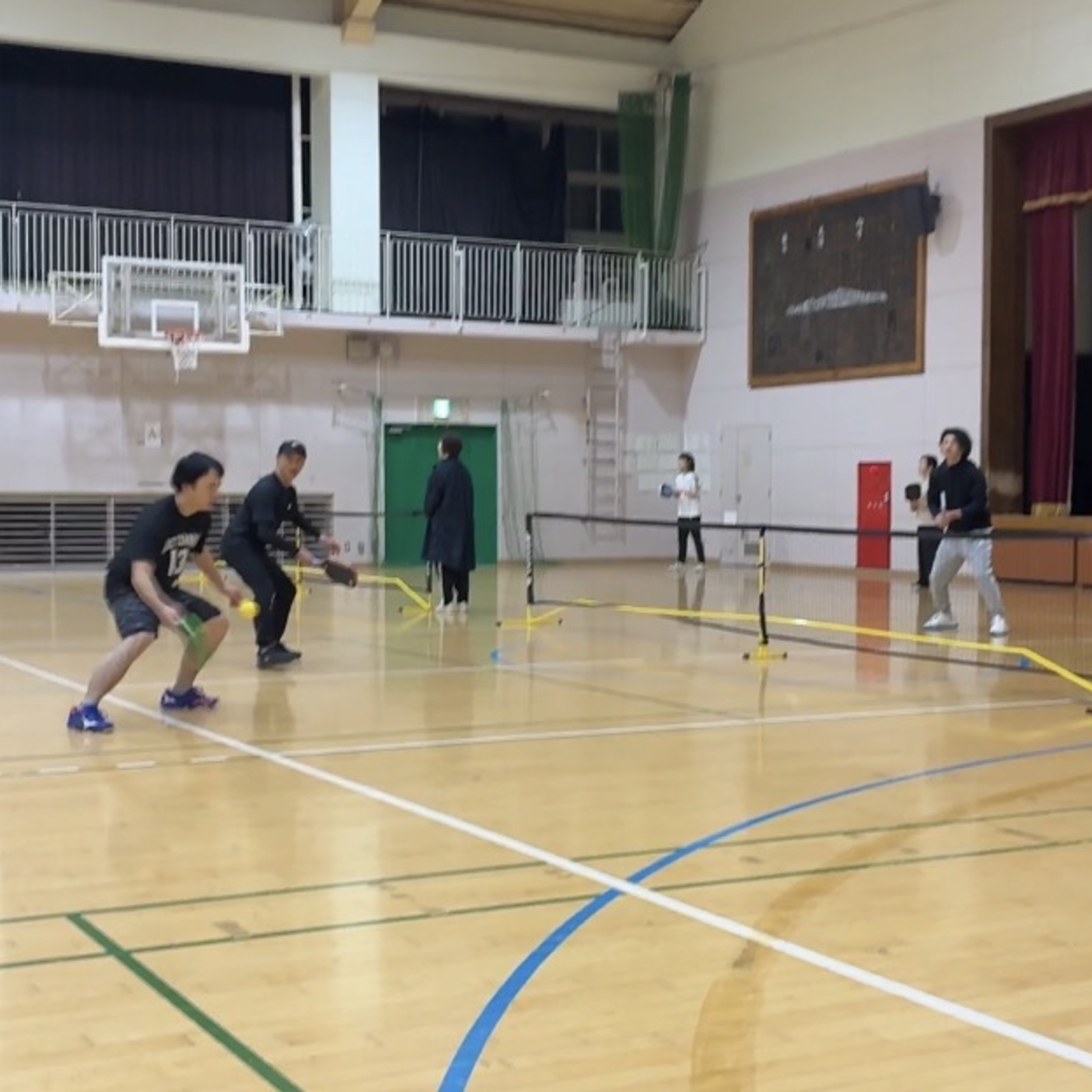 ピックルボールハピクル