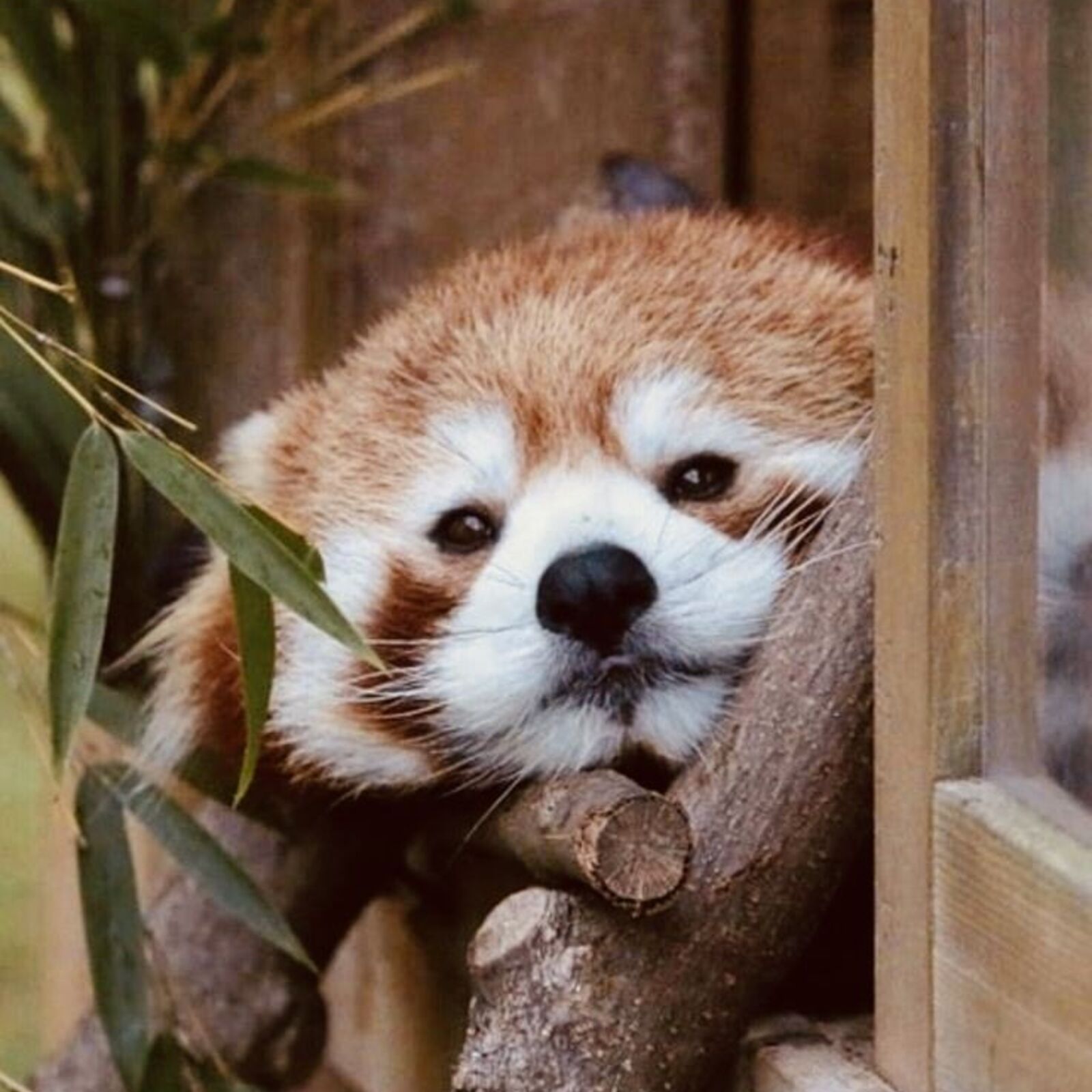 未成年の腐女子サークル！