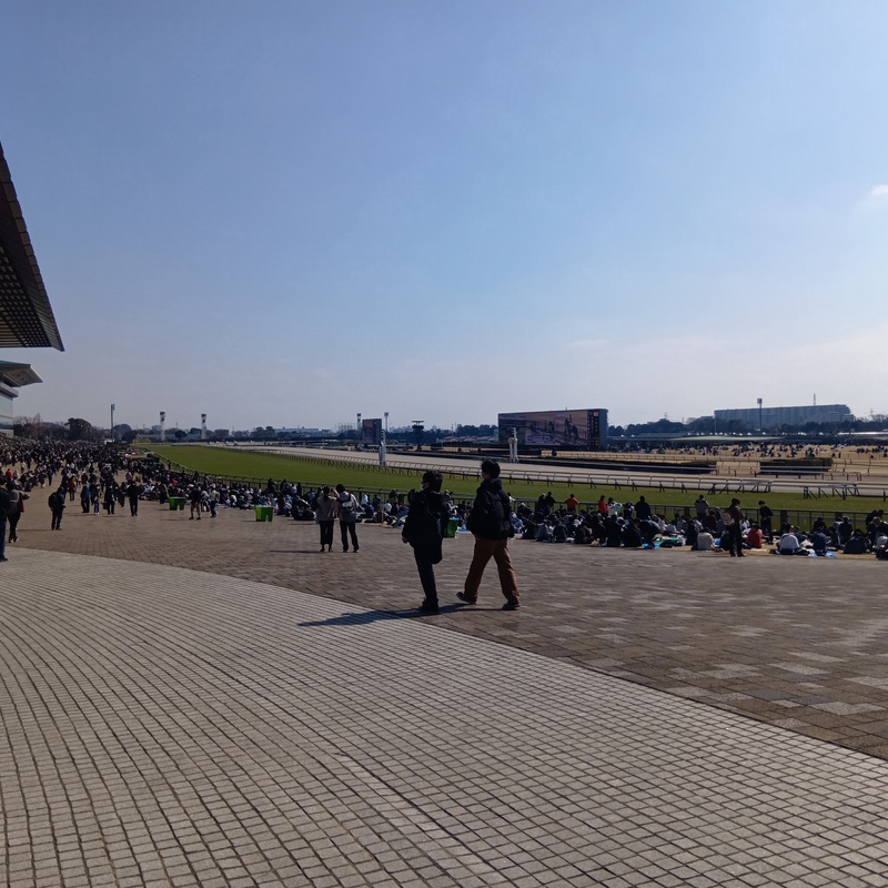 大人の競馬コミュニティ