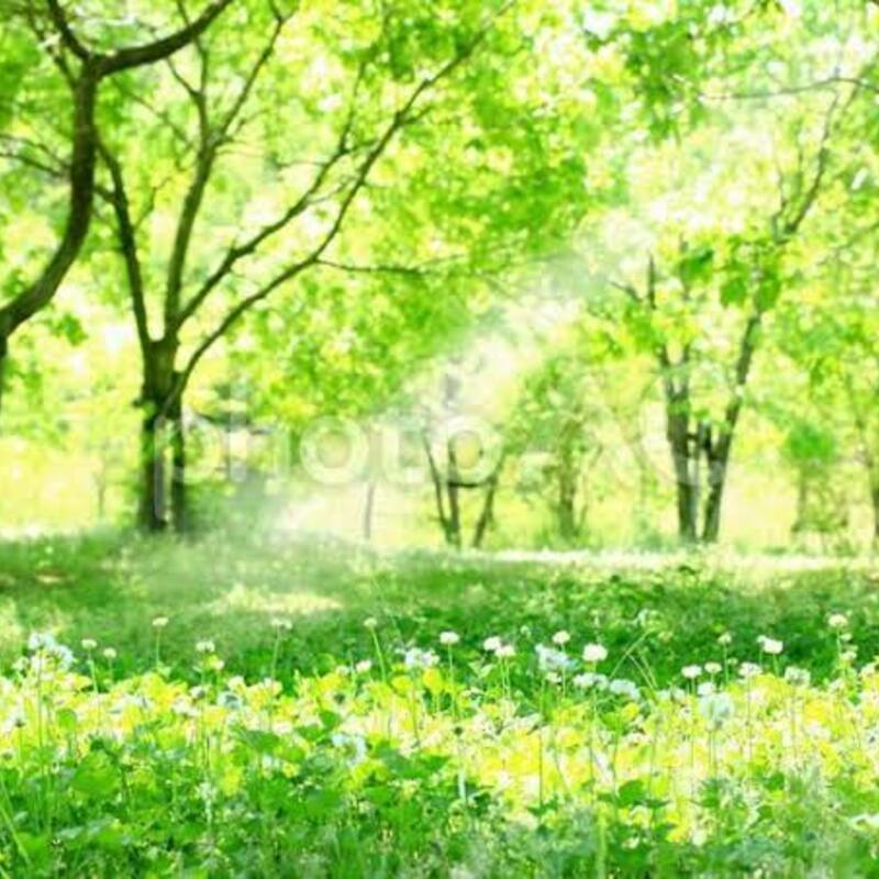 🌟花鳥風月🌟