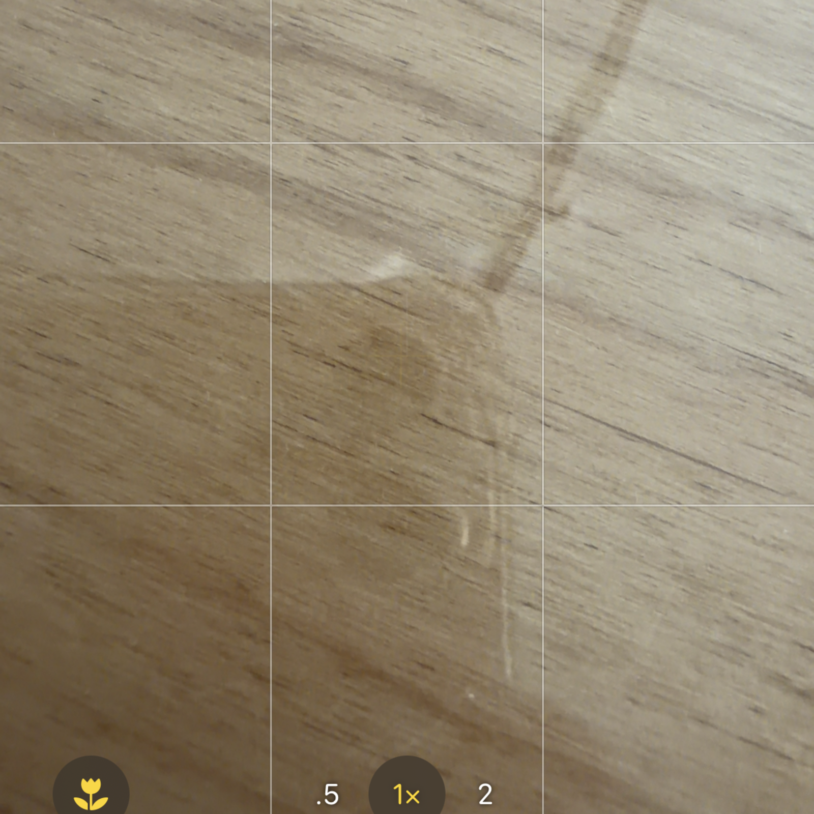 テスト