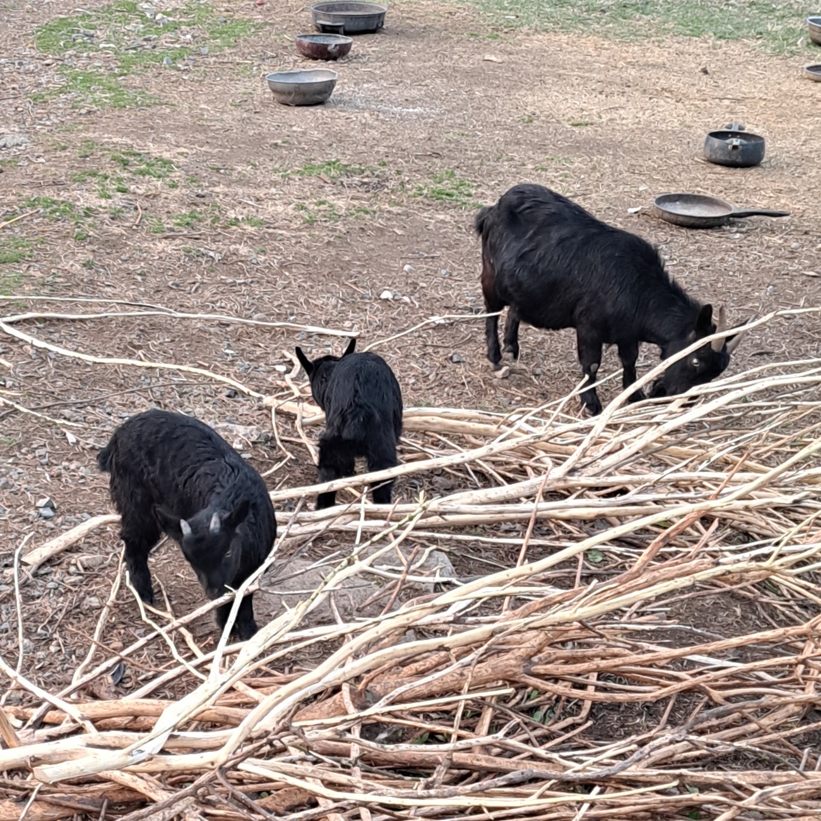 千葉でゆるくサッカー
