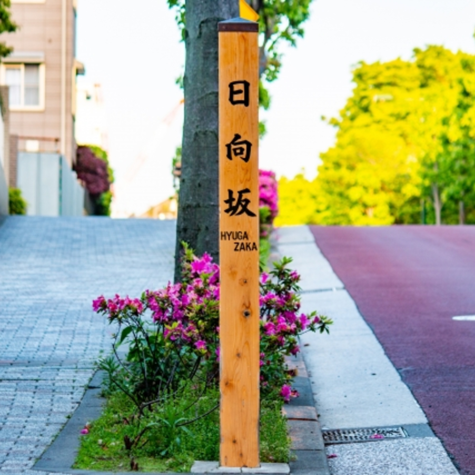 日向坂46推しで会いましょう！