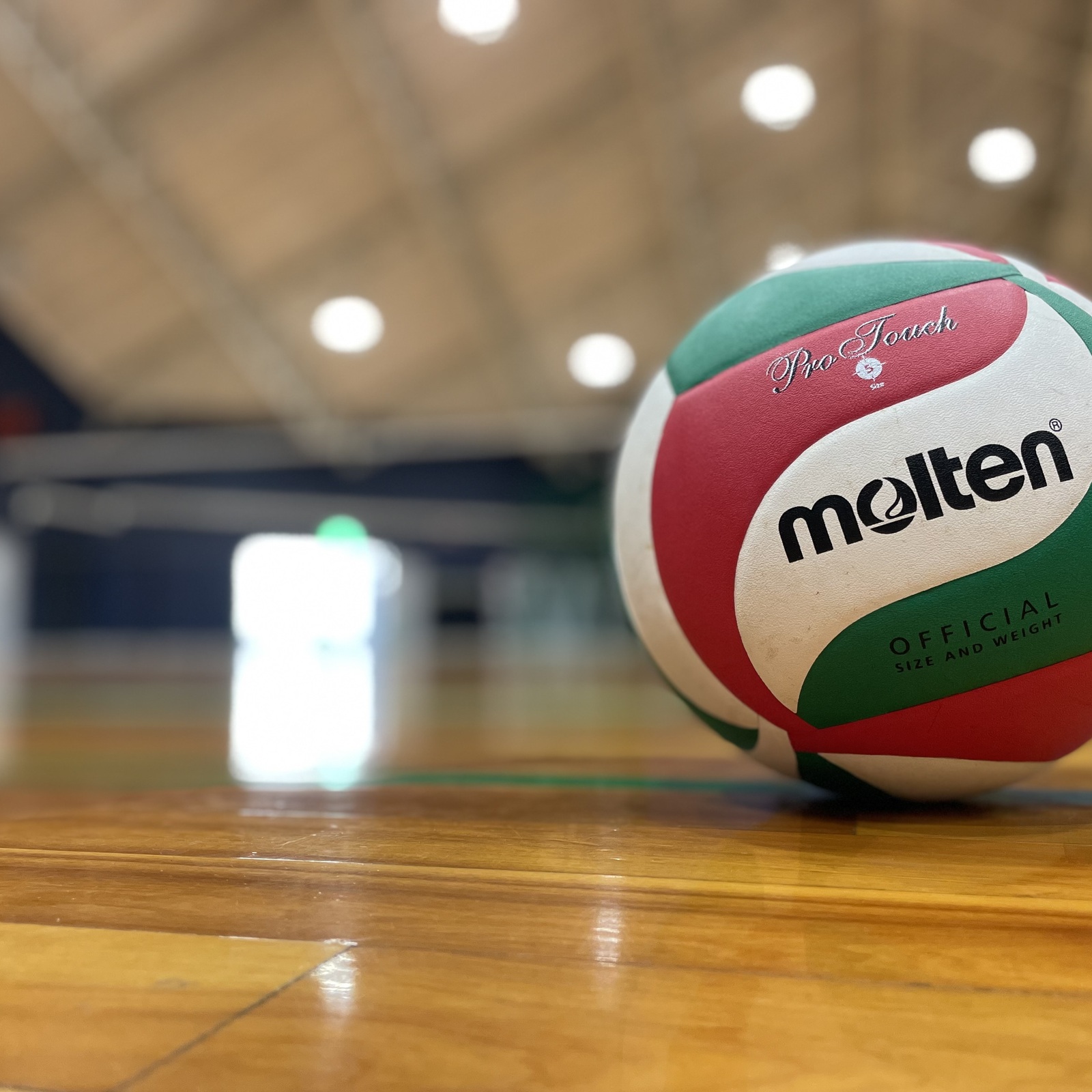 バレーボールしたい人🙋🏻‍♀️