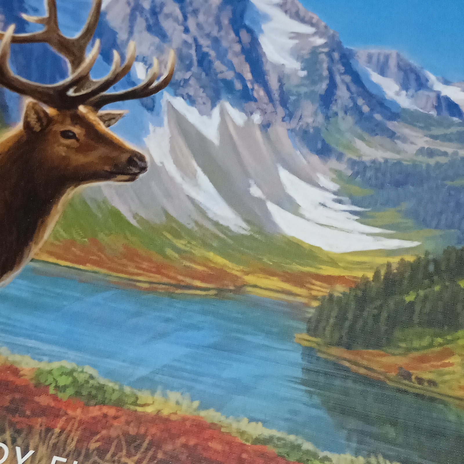 伊勢志摩ボードゲーム会