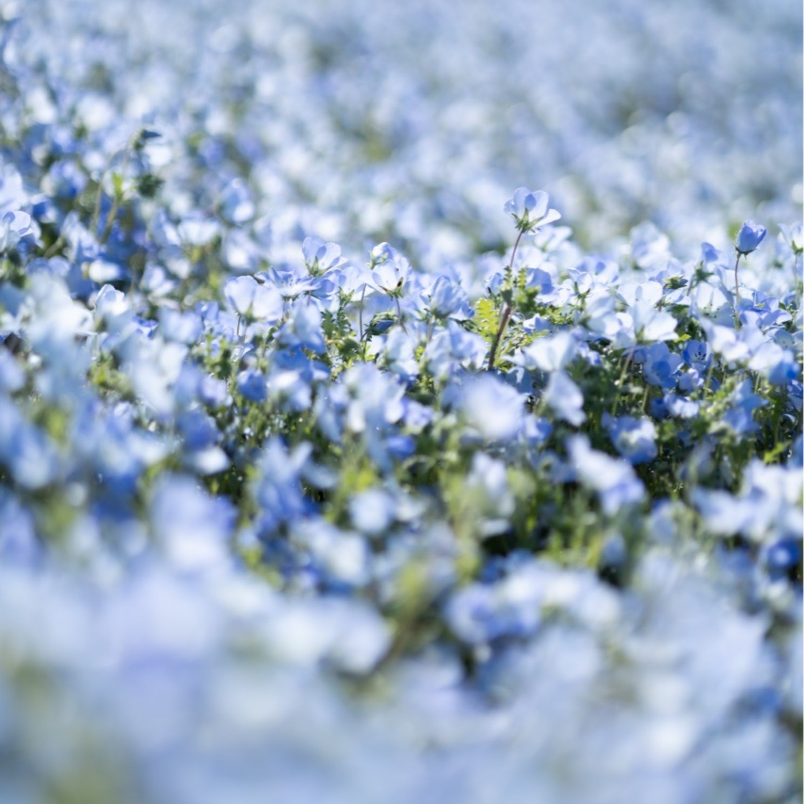 📷さーくる(土日活動)