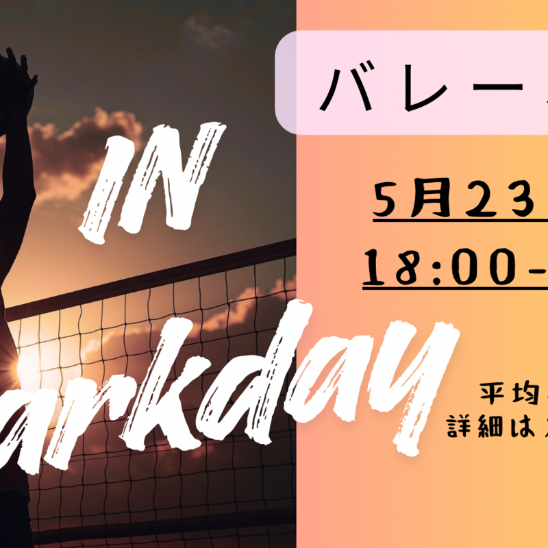 社会人バレーボールサークル