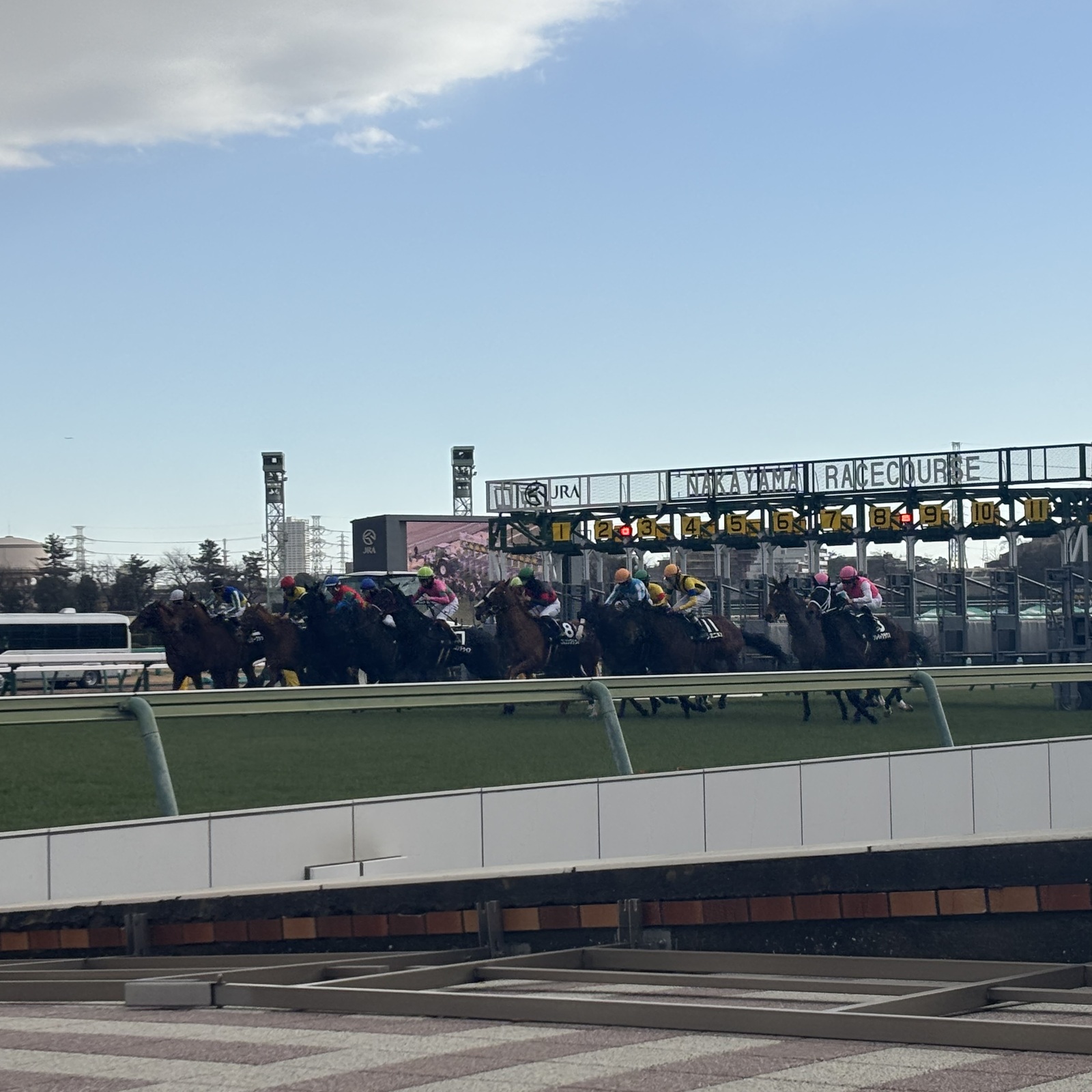 競馬現地観戦会🏇