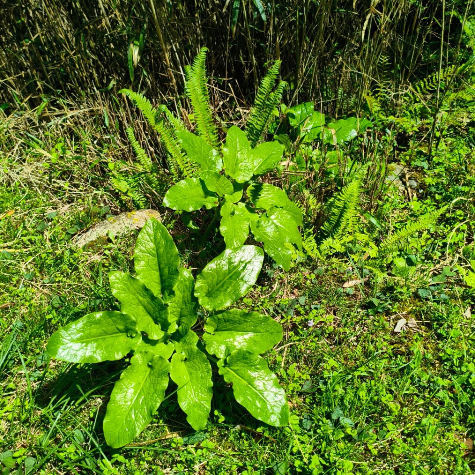 【6・24貸切プライベート空間✨】みんなでリラックス交流＆ハンドメイド雑貨販売会開催🍹初心者・ひとり参加歓迎！