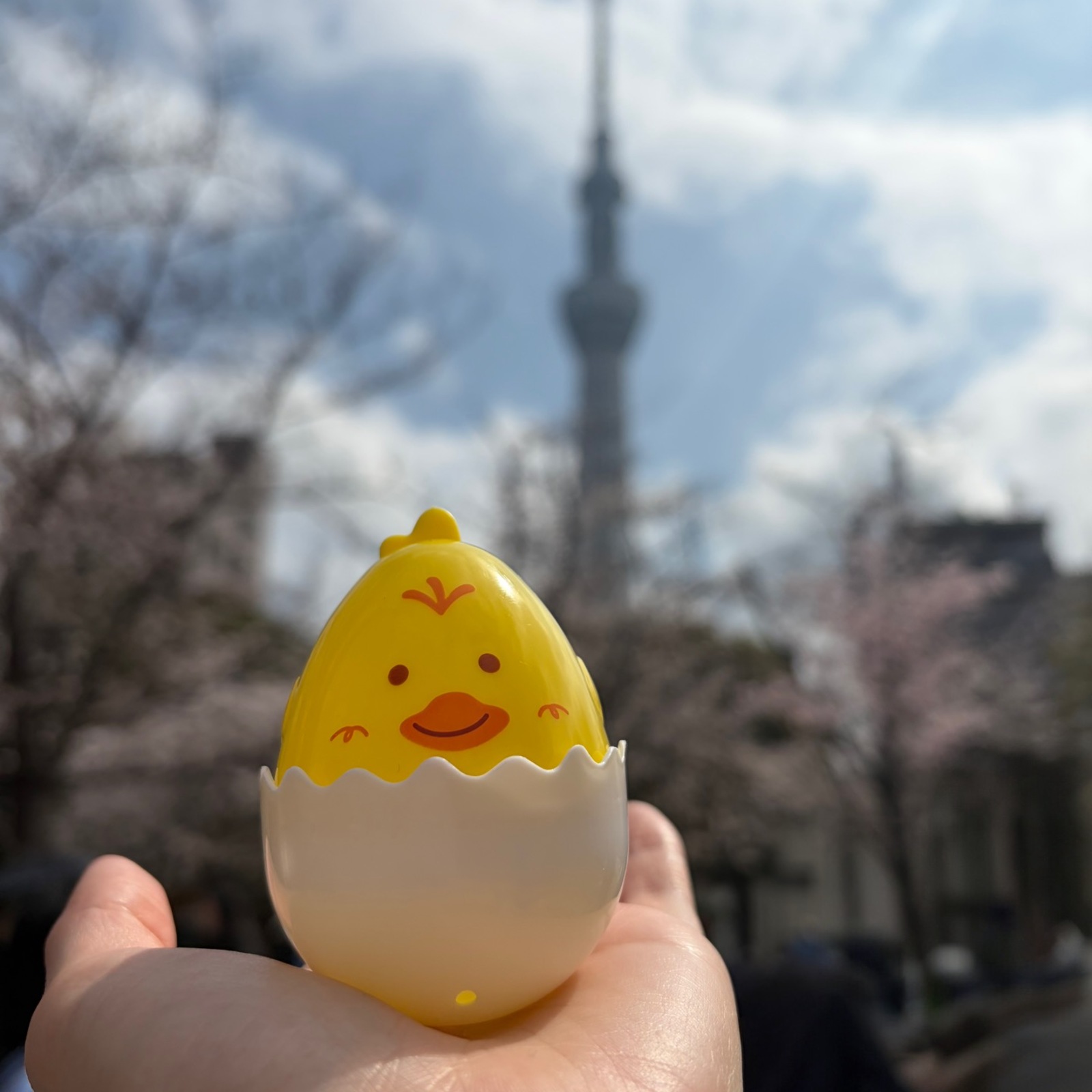 ゆるっとアクティブDays🌈