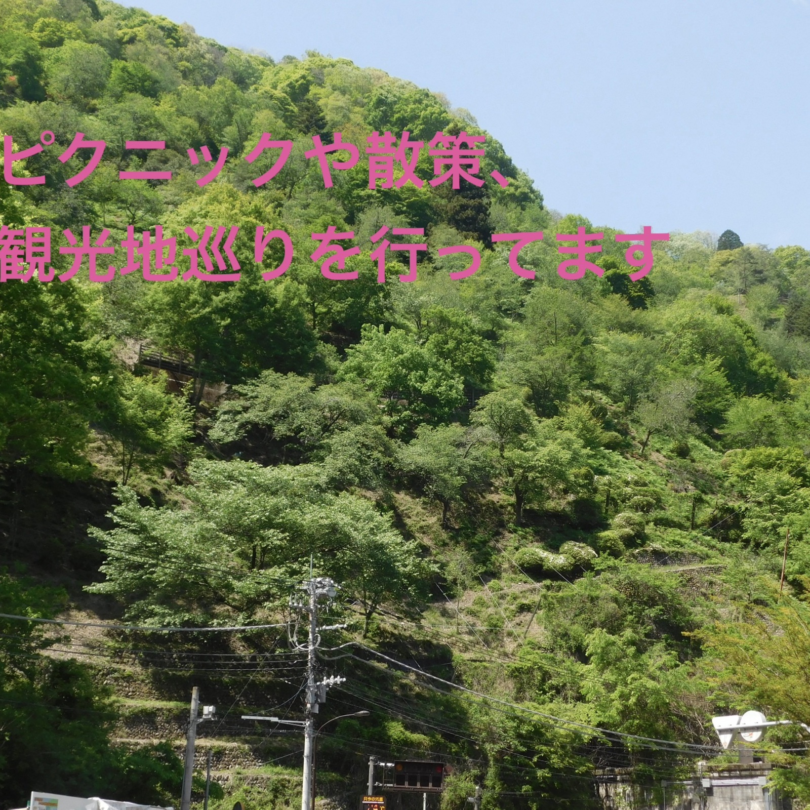 散策、観光地、レジャー巡り、ピクニック⛩️🧺🎡