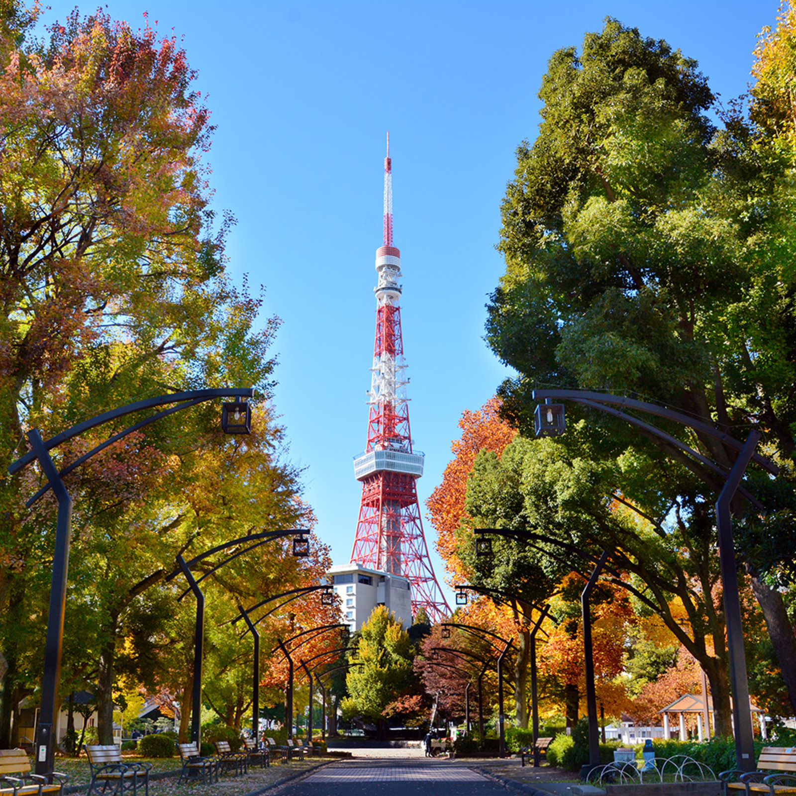 フリー素材ドットコム写真散歩会