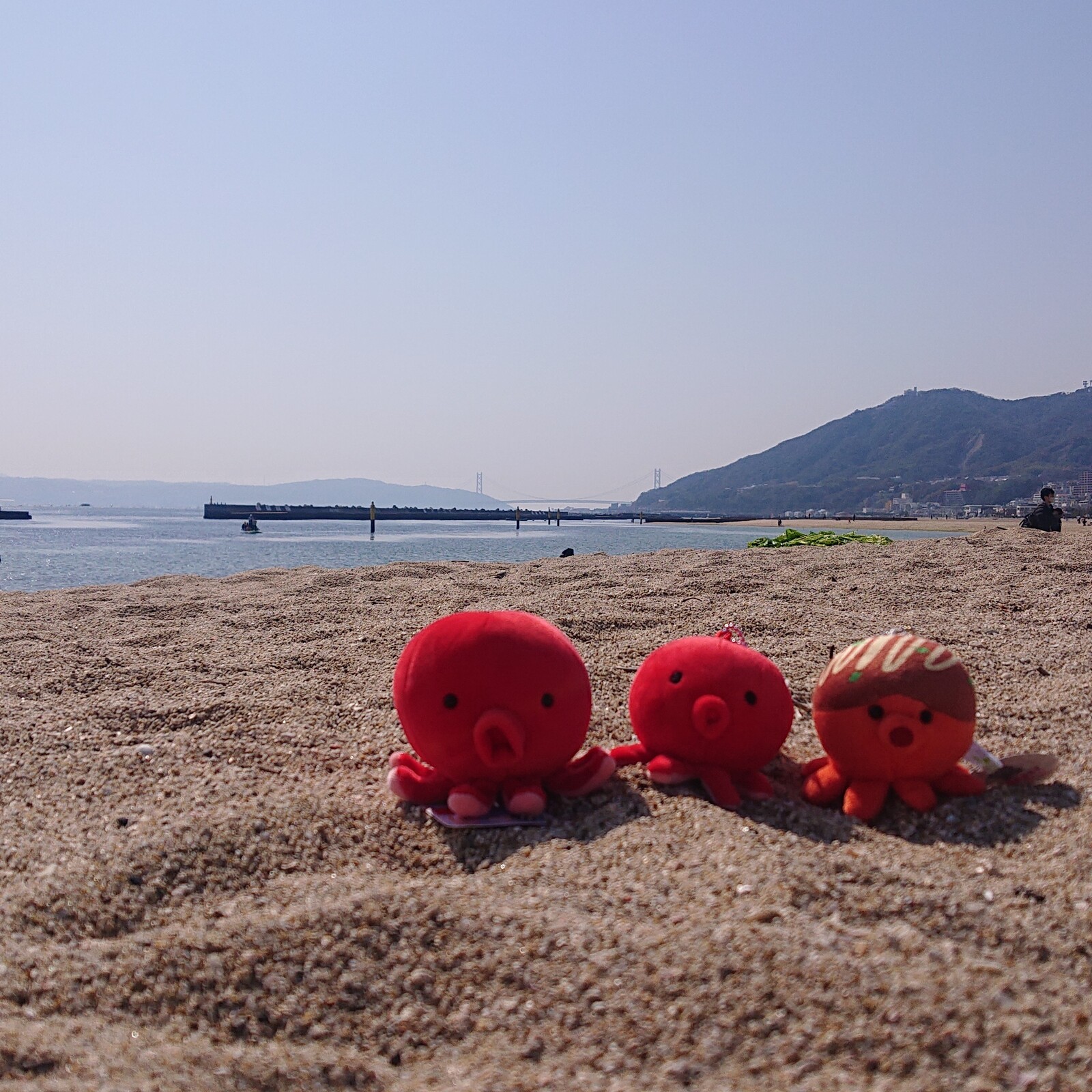 タコちゃんのぬい活、推し活サークル🐙🐙