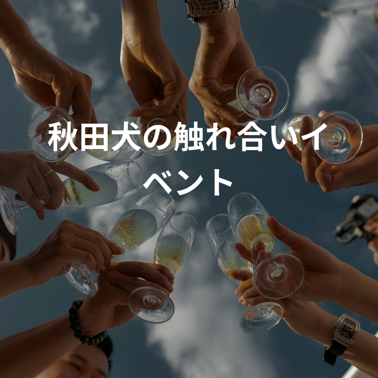 秋田犬の触れ合いイベント