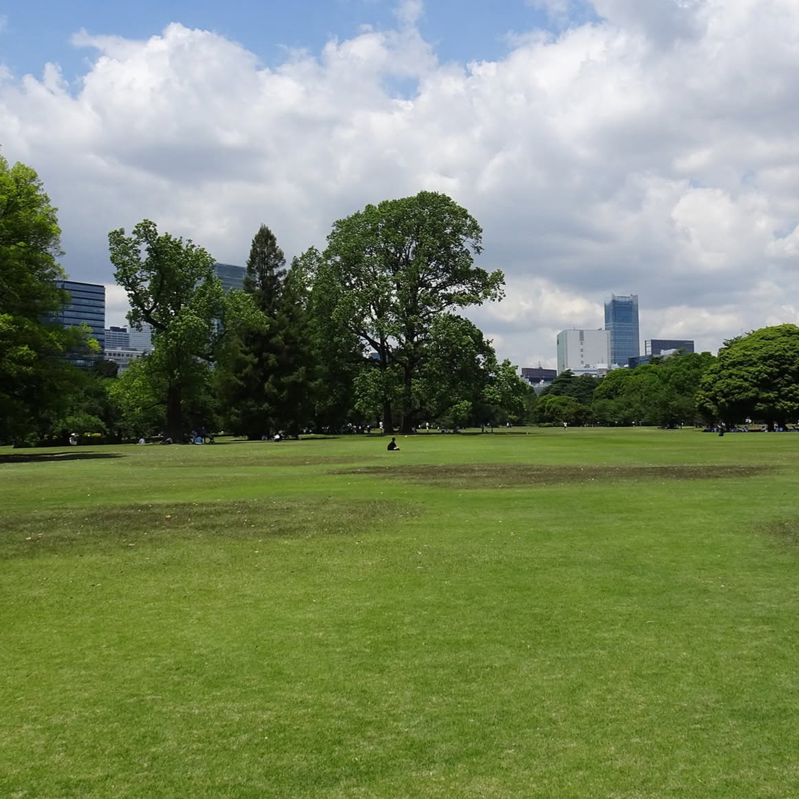 好きなことをゆっくり語り合う会