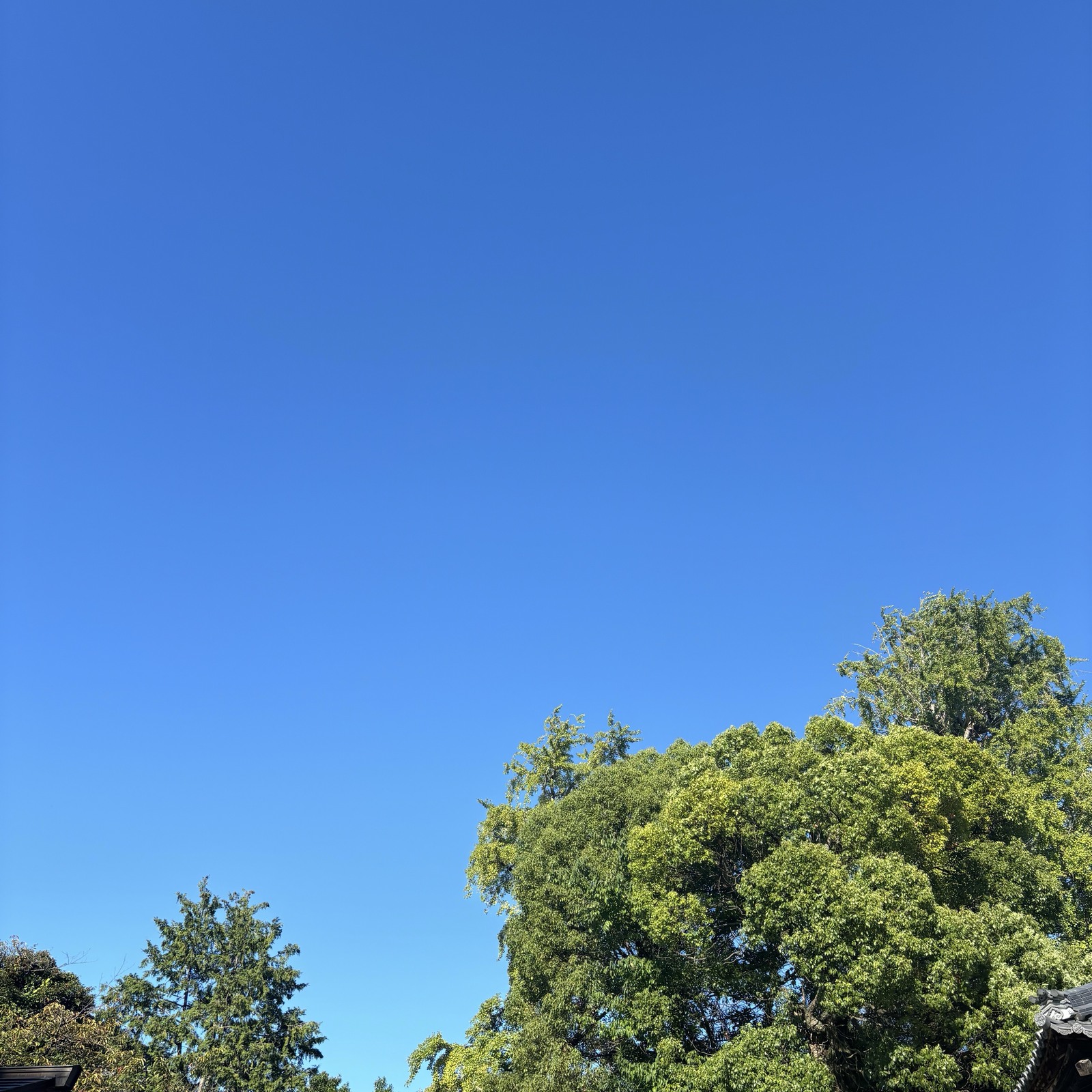 ワクワク