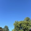 Circle Image