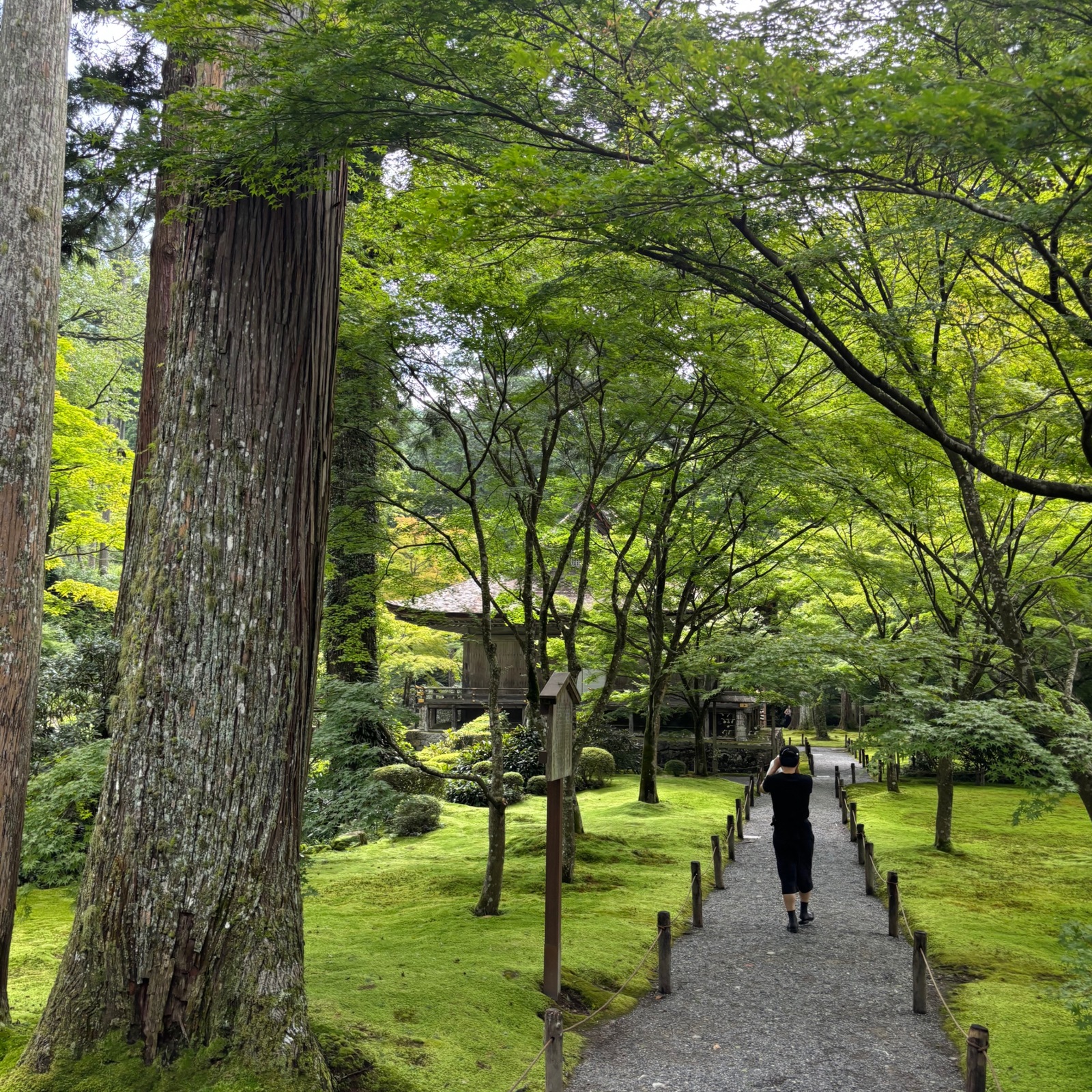 OSAKA散歩