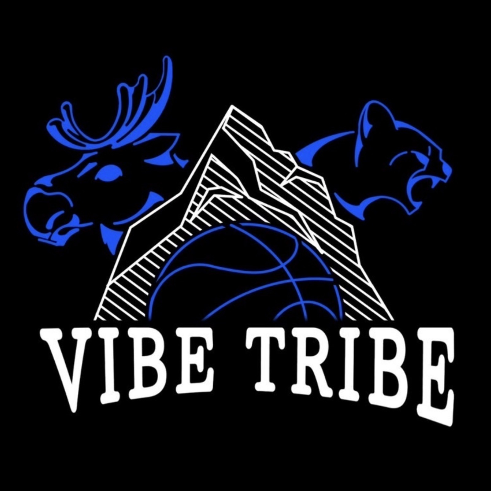 Vibe Tribe