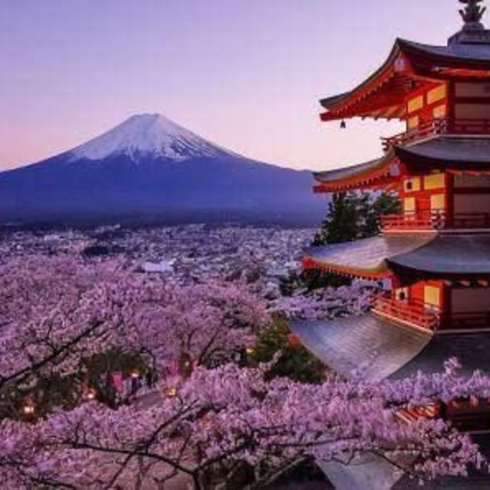 歴史好きの会