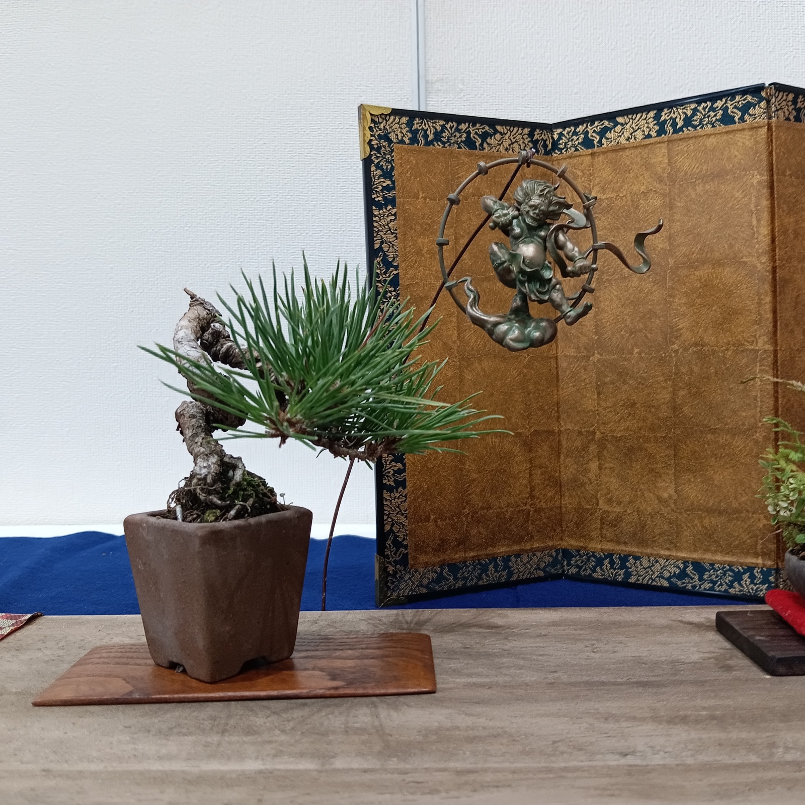 小品盆栽 草樹会