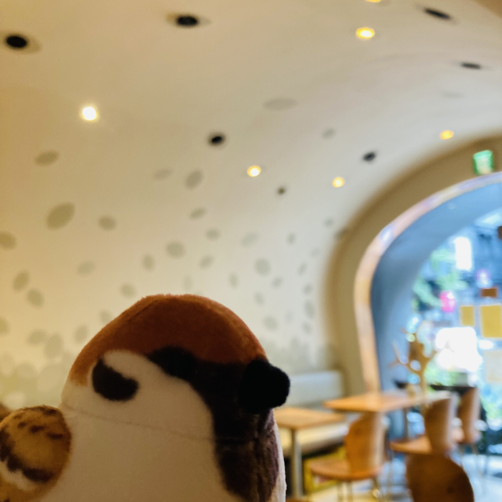 ほっこりお茶会 居場所