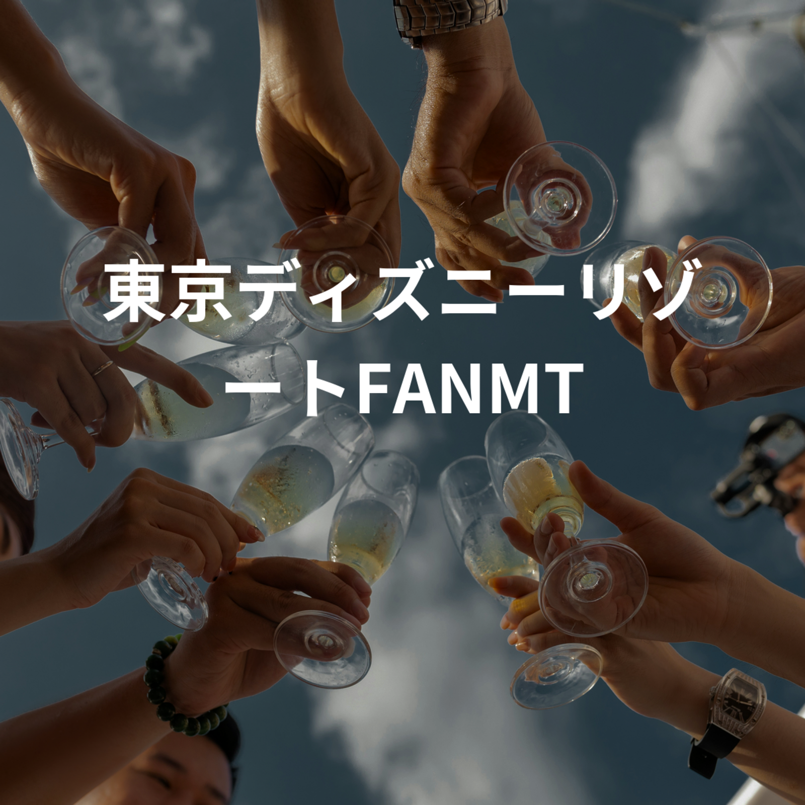東京ディズニーリゾートFANMT