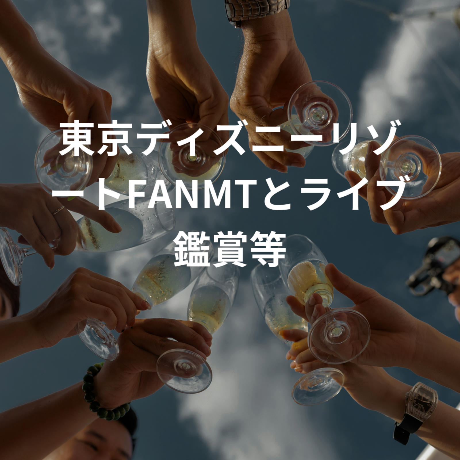 東京ディズニーリゾートFANMTとライブ鑑賞等