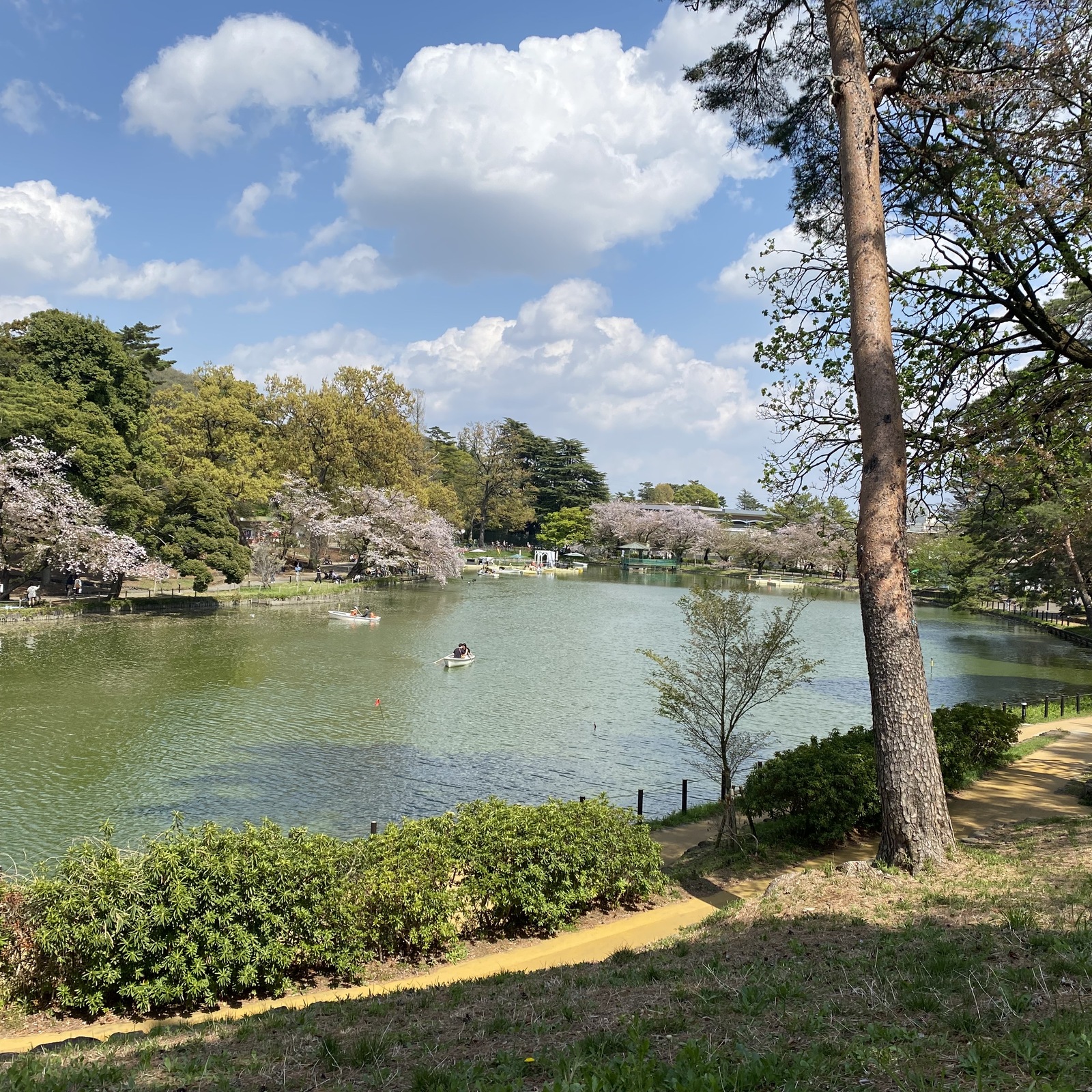 ゆるっと公園散歩🚶