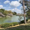 Circle Image