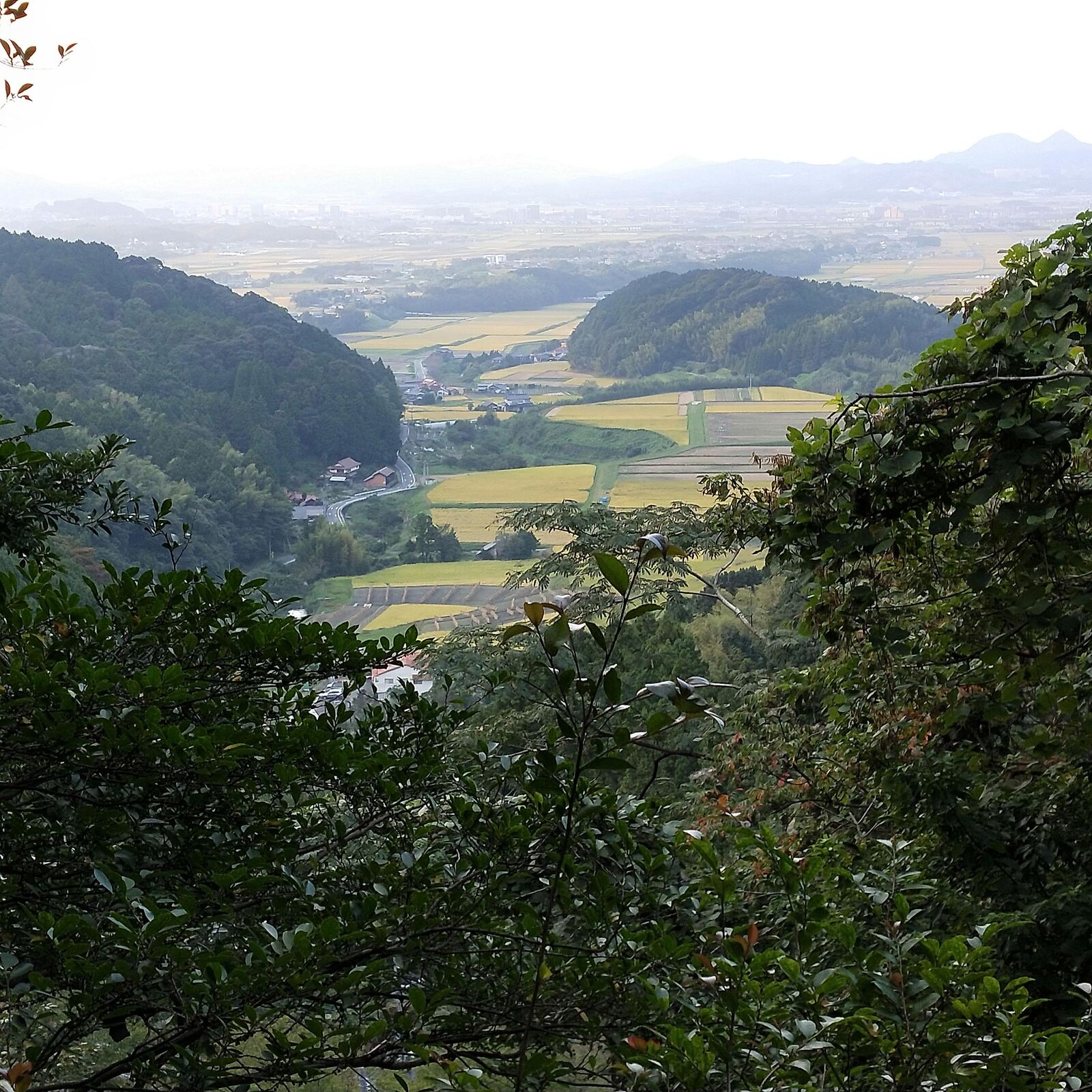 糸島山遊び