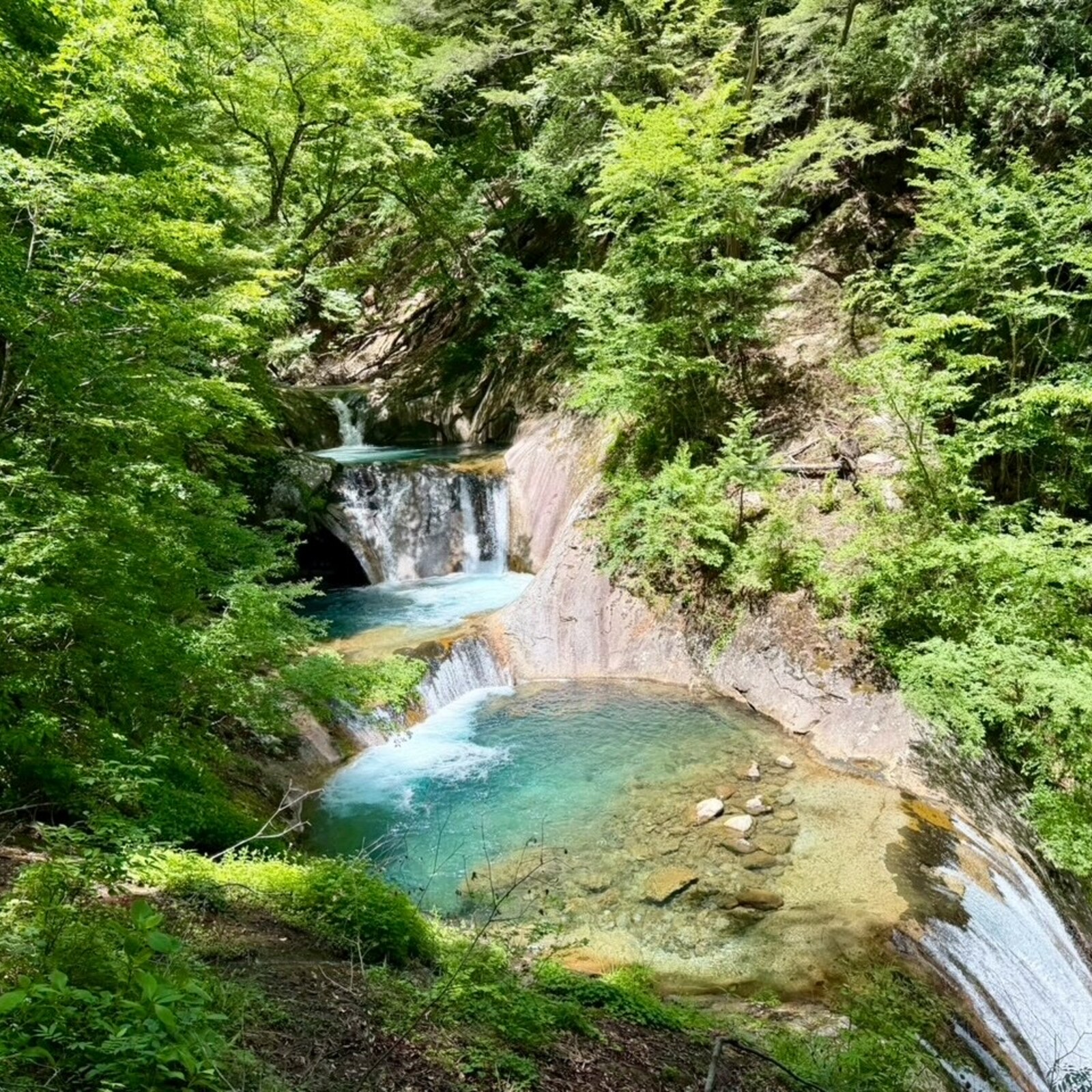 ☀️ そとあそびより｜外遊日和