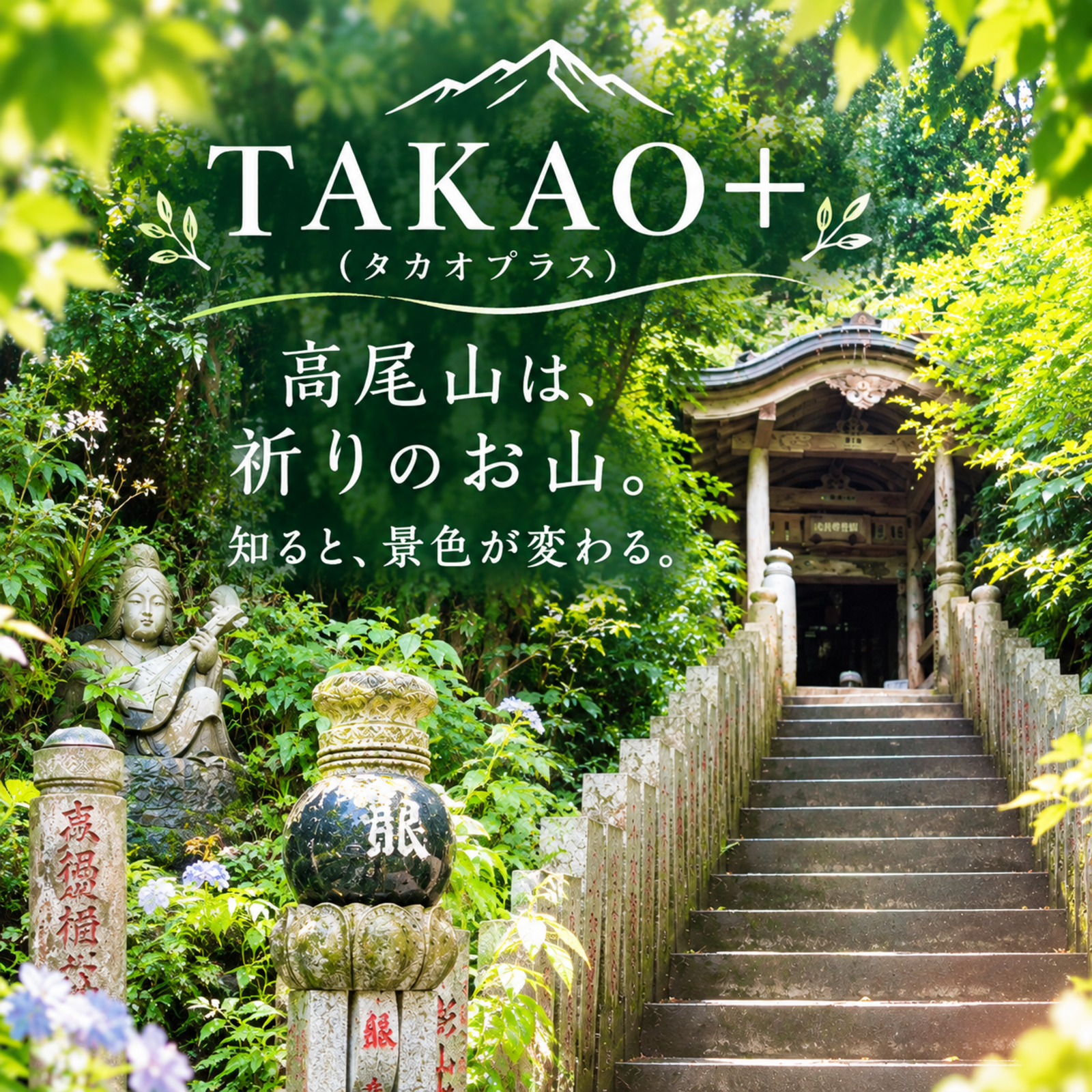 TAKAO➕(タカオプラス)　〜高尾山周辺ゆる登山｜運動不足・ストレス解消♪神社仏閣・自然好き〜