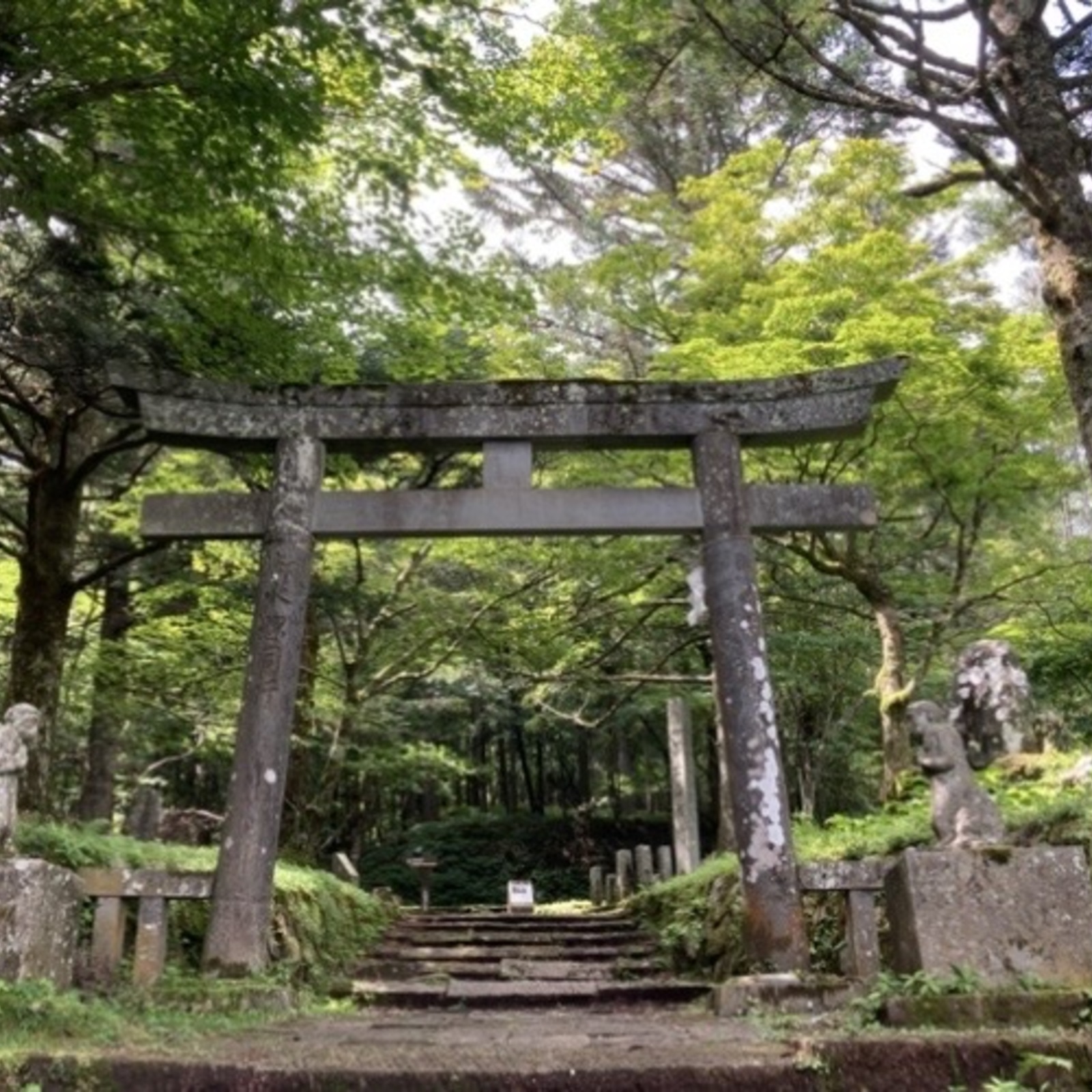 やまのわ