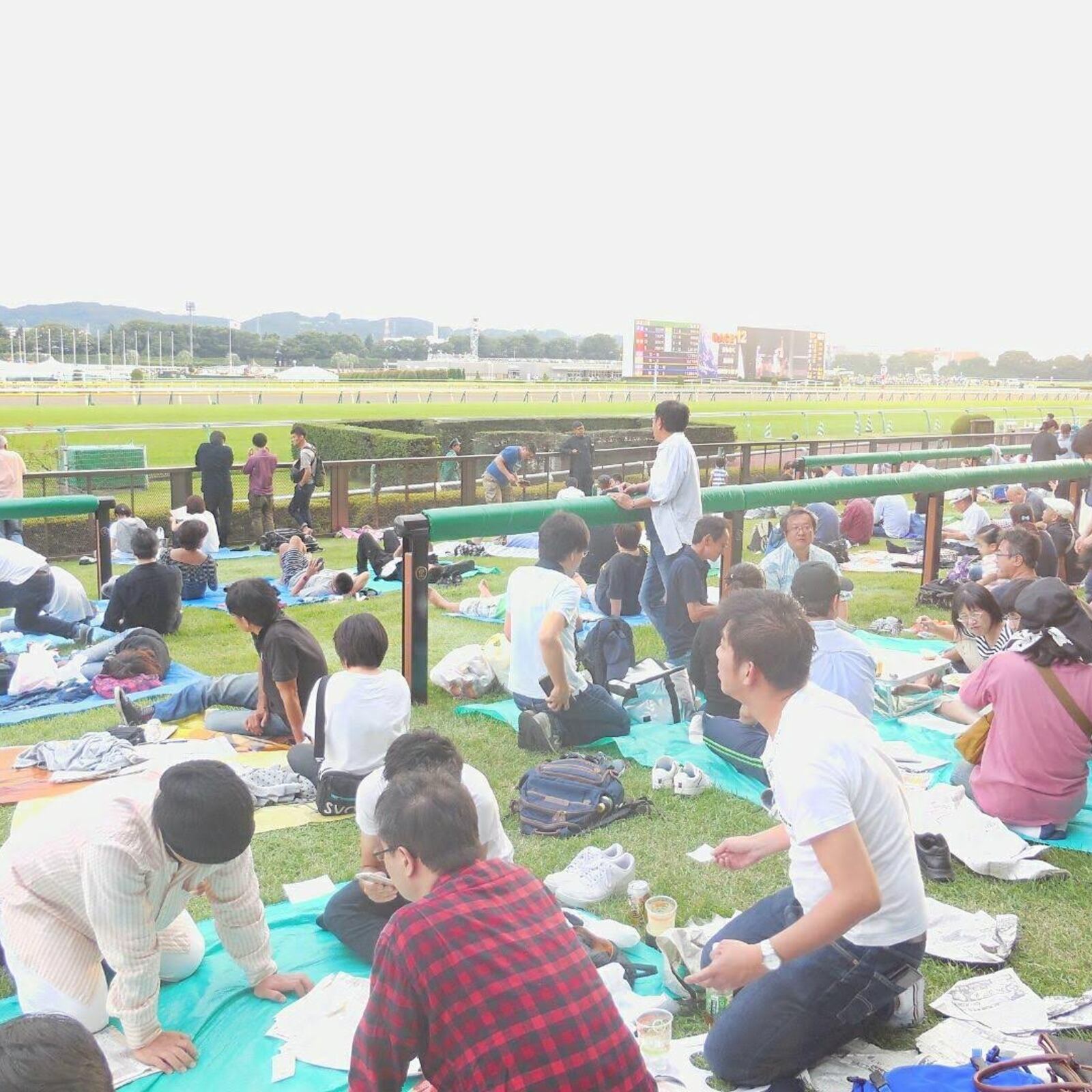 競馬グループ
