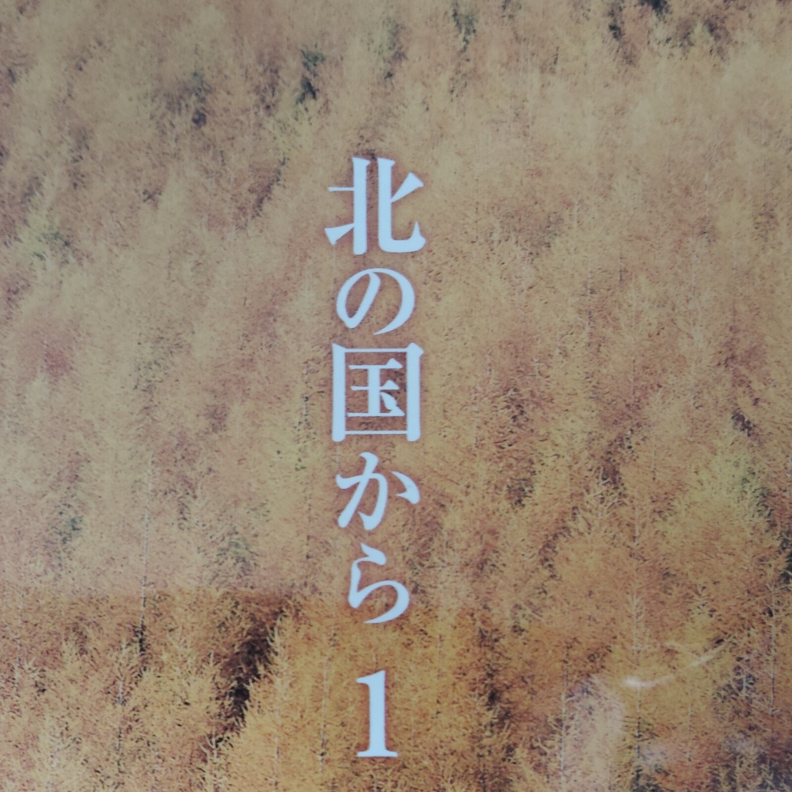 北の国からをゆるくふりかえる