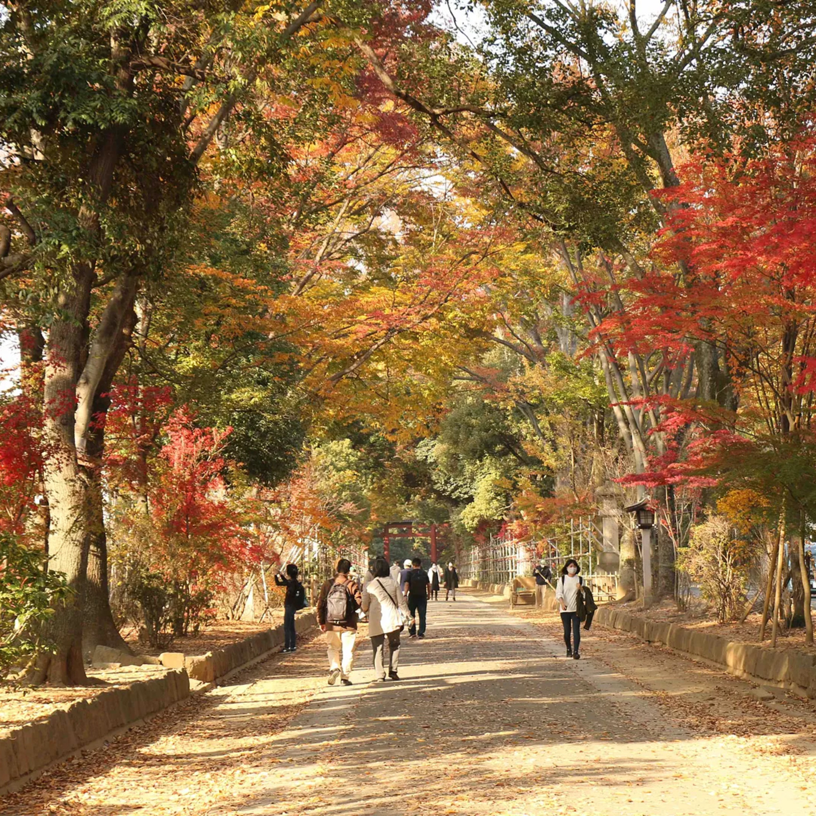 WEEKEND WALK & TALK｜週末をちょっと豊かにする朝散歩・カフェ会
