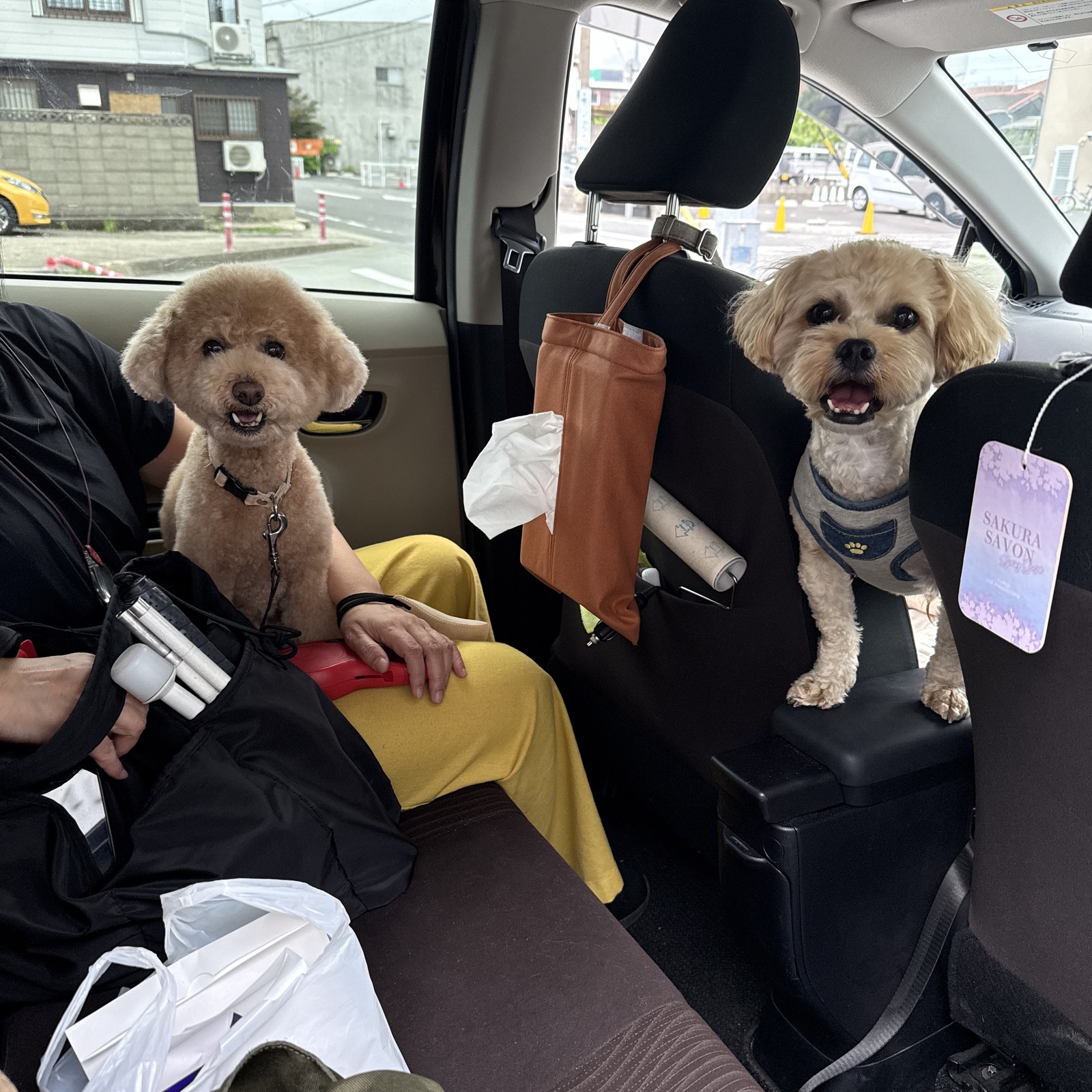 三重県で新しい仲間みつけたい☺️