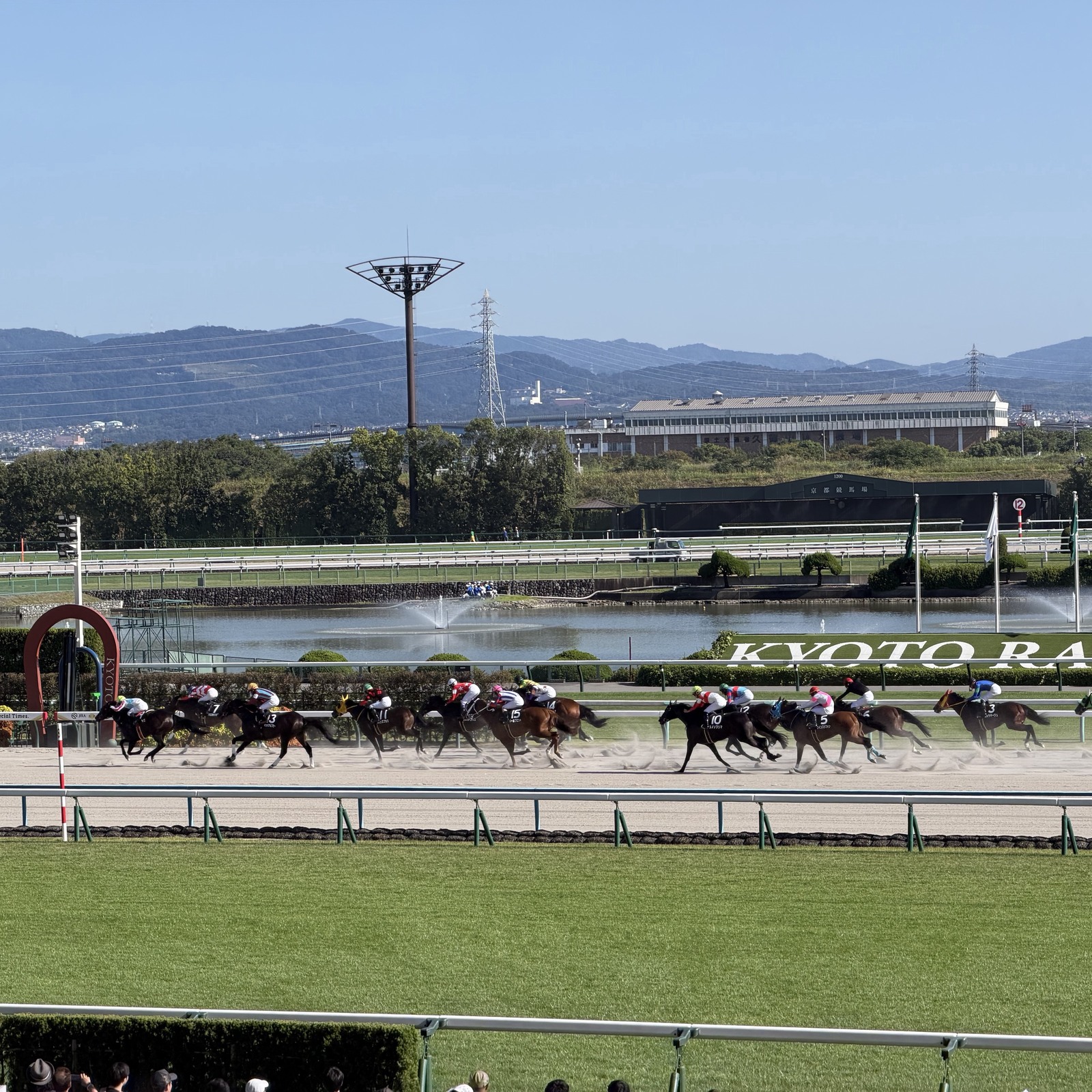 馬が好きな競馬好き