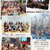 Circle Image