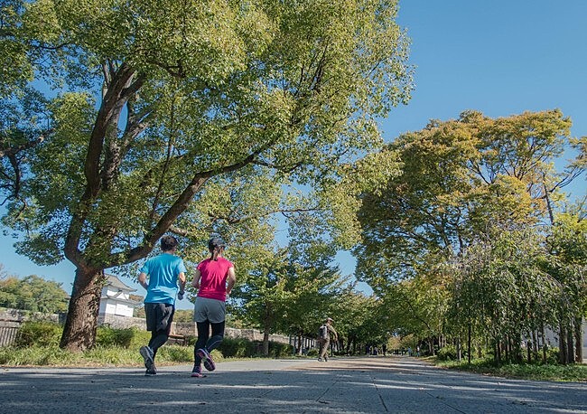 大阪城公園で体を動かそう！🏃💨