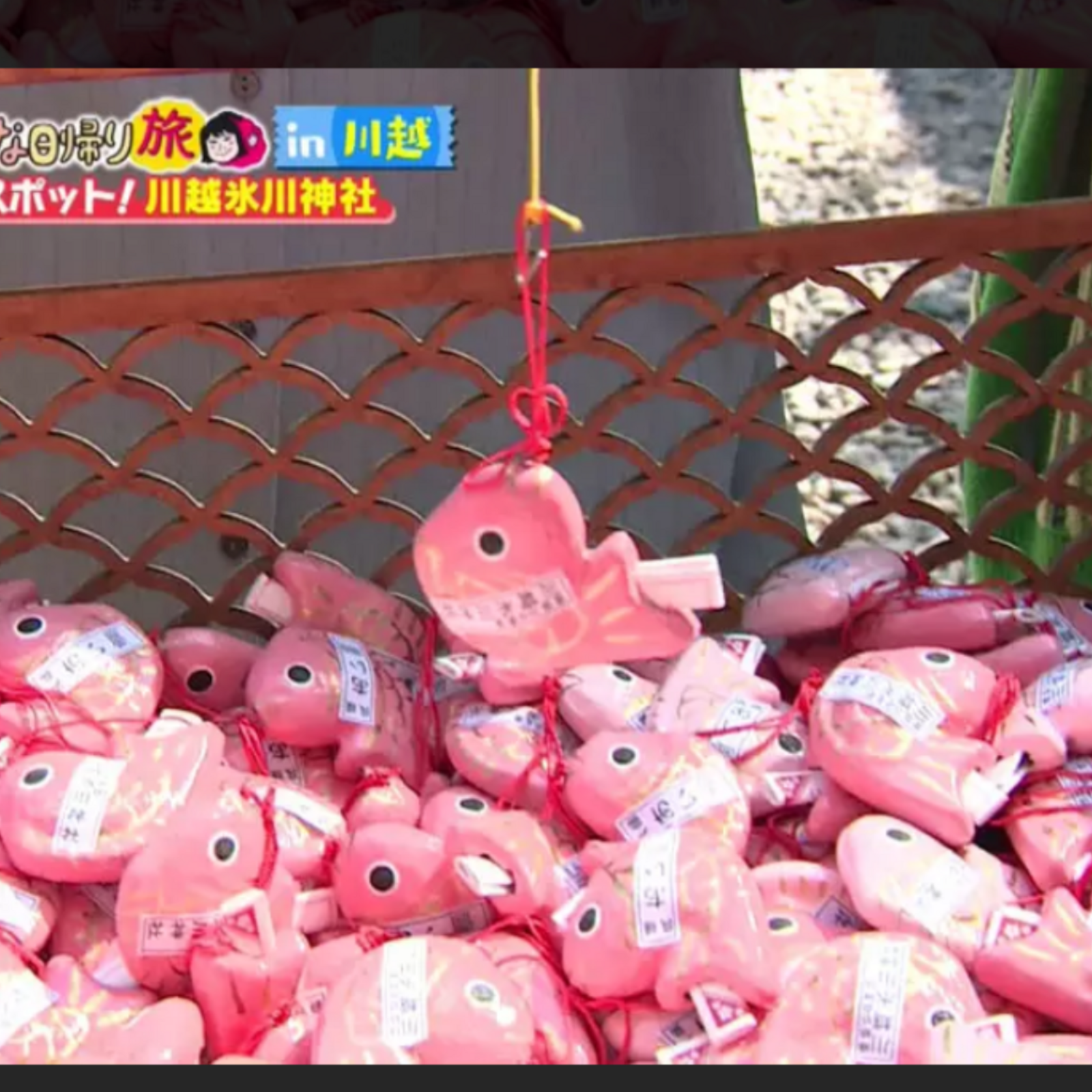 🗼週末都内お散歩会🚶🌳休日を楽しもう🌷