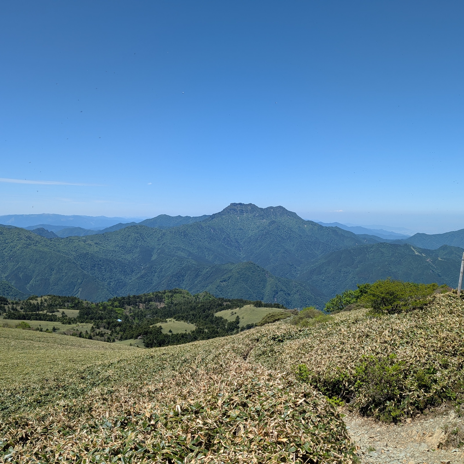 媛山会