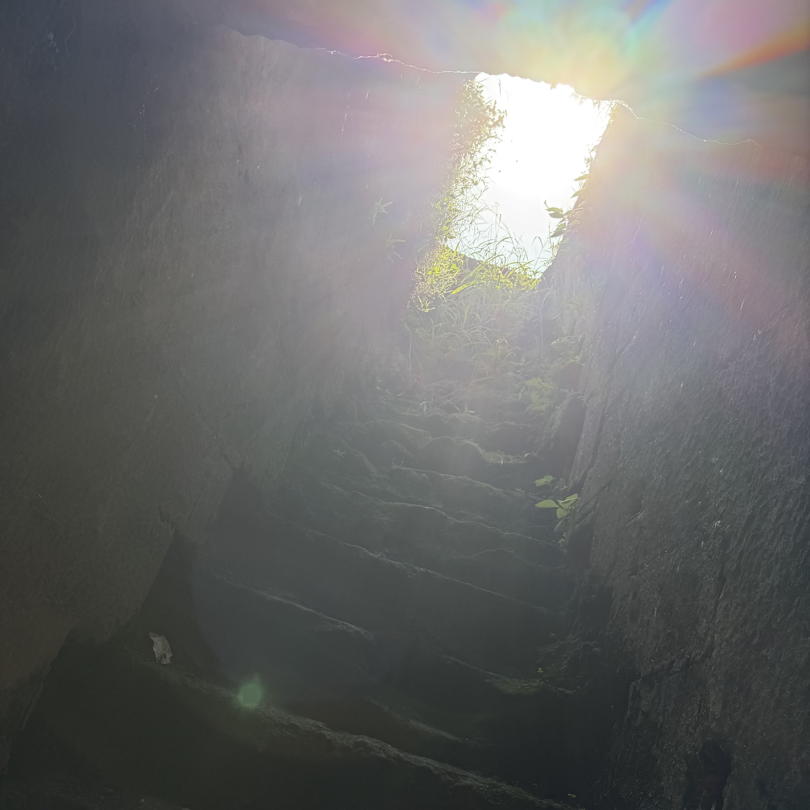 マダミス👍いいね