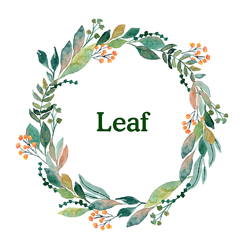 Leaf