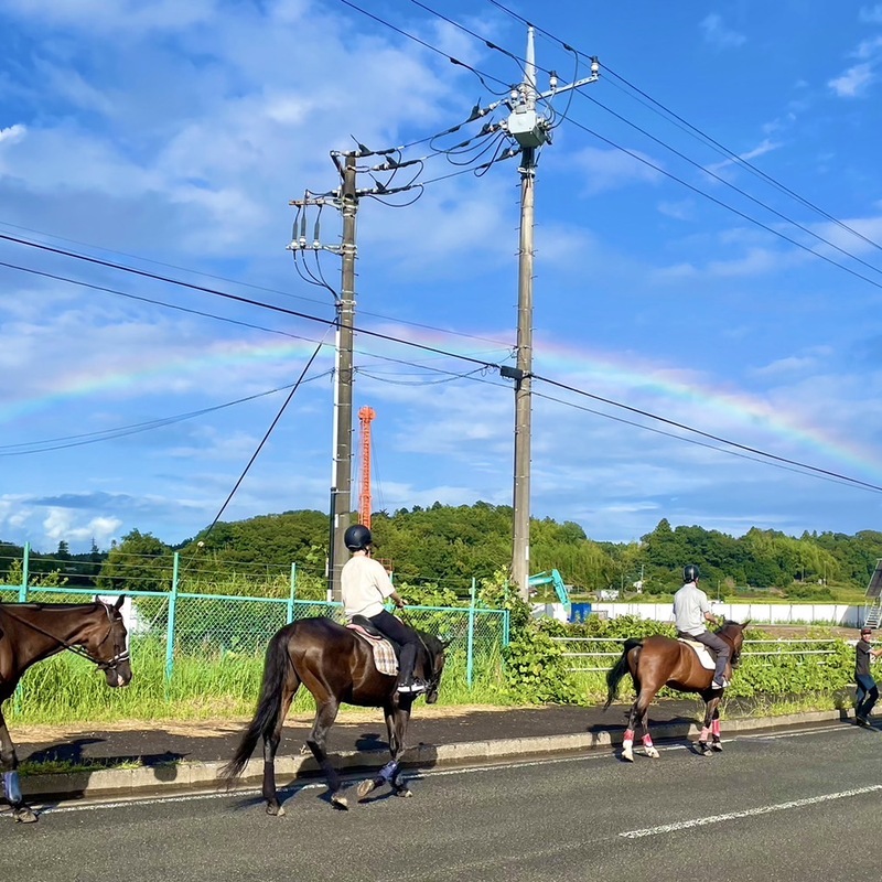 馬好きさん🐴、乗馬好きさん🐎のためのサークル💕