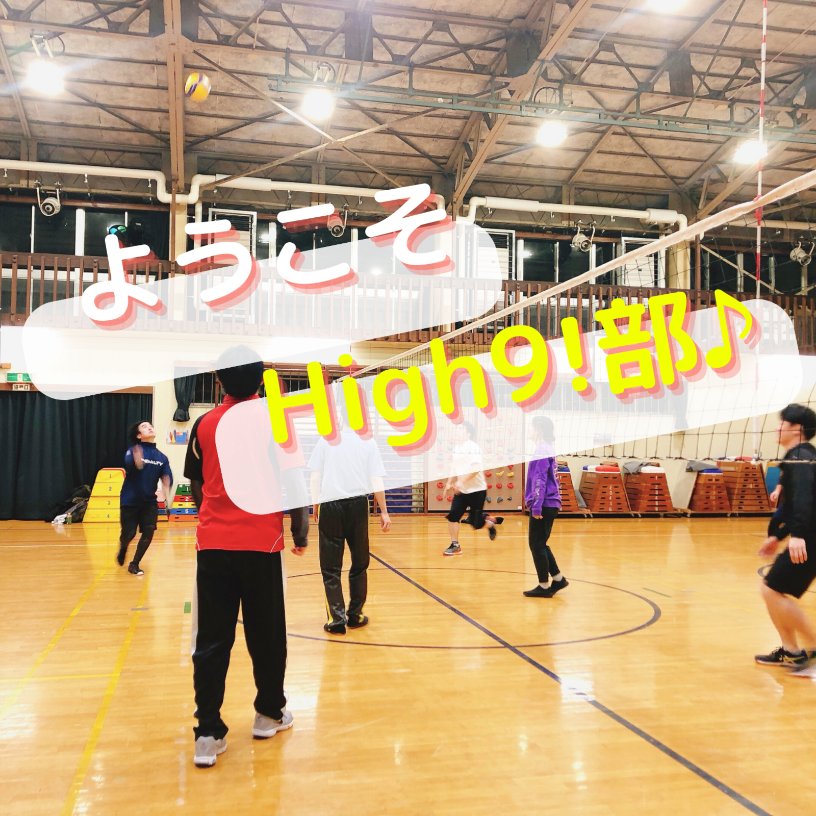 High9！(ハイキュー)部