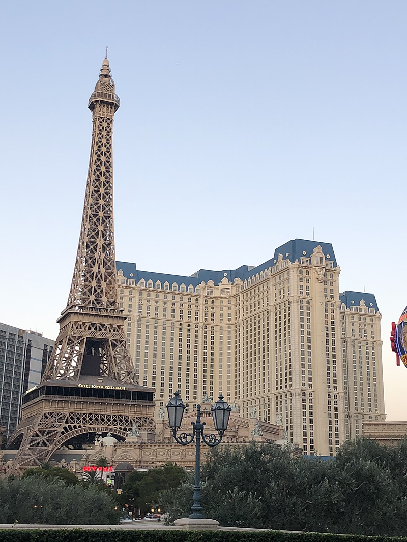 アメリカ旅行(2023年度)